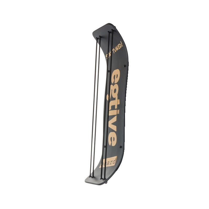 egtive-BOARD, schwarz/gold